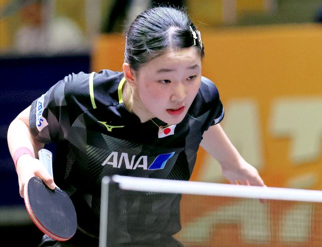 张本智和暂 张本智和暂